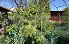 Apartament cu 3 camere, 73 mp utili + 67 mp curte, zona Bd. 21 Decembrie - 13