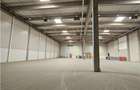 Spatiu Industrial - 4200 mp - Logistica - Productie - Depozitare - Distributie - 4
