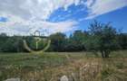 Teren intravilan de vânzare în Alămor, Sibiu, deschidere generoasă, utilitati - 9