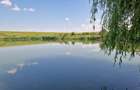 Teren cu deschidere catre lac - 40 km de Bucuresti - 8