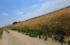 Teren intravilan Carcea , 415 mp , cu front stradal 14,78 m - 1