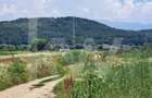 Teren de Vanzare zona Selimbar-Bungard - 4