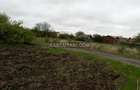 SNAGOV SAT - Teren- 2410m² - Toate utilitatile - Zona de Vile - 4