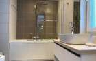 Herastrau Nordului Penthouse 160mp - 8