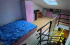 Apartament 2 camere-campus Tudor Vladimirescu - 6