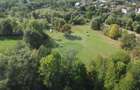 Teren 10.000 mp Calatele – Apuseni, langa rau, ideal investitie turism - 1