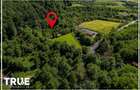 Teren intravilan 2.800 m² în Câmpu Cetății – liniște și natură - 15