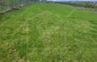 Teren extravilan 2000 mp, împrejmuit, panoramă superbă – Sălicea (Cluj) - 1
