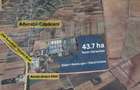 Teren intravilan 43,7 ha cu deschidere la DN5 – utilități, PUZ aprobat, ideal pe