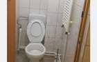 Inchiriere Hala Industriala 450 mp, Bucov - 4,5 euro/mp - 9