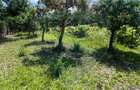 Casă de vânzare – Puchenii Mari, la 15 km de Ploiești - 9