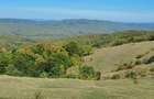 Vila de vanzare Valea Doftanei- Brebu - Campina - 9