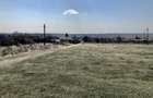 Vanzare teren intravilan- livezi - 2