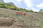 Teren Intravilan de Vanzare in Zona Turistica Ramet - 2