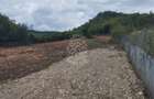 Teren 4761 mp-Parcelabil-pretabil investitie, casa-Viisoara - 3