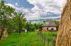 Casa moderna si casa bunicii + 6300 mp teren,Oaza autentica in Corbi Arges- - 4