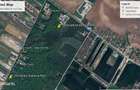 INCHIRIEZ 3.7ha PADURE+anexe pentru AVENTURA Parc, Bucuresti-Vest Padurea Ileana - 7