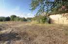 Casă 3 camere, Teren 1036 mp Front 22 m - Str. Florilor 46 - Carei - - 16