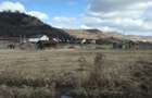 Vand teren intravilan Livezeni,900mp,drum privatla 100 m de strada principala. - 7