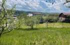 Investitie ! Teren intravilan,494 mp, front 14 m,cart Dâmbul Rotund-Lombului   ! - 3