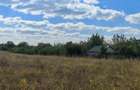 5.900 mp pentru Dezvoltare Rezidențială – Str. Polonă, Periș