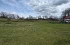 Teren intravilan 1.17ha cu panoramă superbă și PUZ aprobat – Baia Sprie - 6