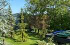 Cabane A frame + Teren 6000 mp |  Proprietate deosebita, NOU - 8