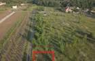 Intravilan, Branesti, 500mp, str. Violetelor, Lacul Pasarea, Padurea Cucu - 3