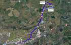 Teren intravilan 6.200 mp de vânzare – strada Panselutelor, Jucu, județul Cluj - 3