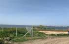 Teren intravilan  Palazu Mare zona Malul Inalt - 3