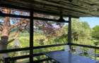 Cabane A frame + Teren 6000 mp |  Proprietate deosebita, NOU - 19