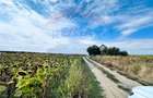 Teren 14.863mp, deschidere 42mp, acces 3 laturi - Ciorogarla, langa A0
