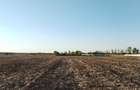Ciolpani, spre Izvorani - COR, vanzare teren 5000mp. - 7
