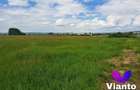 Oportunitate Teren Intravilan 9000mp-Turnisor - 2
