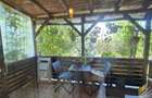 Casa individuala de inchiriat Clinceni-Olteni - 2