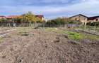Casa individuala pe parter, 3 dormitoare | Dumbravita - 9