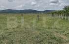 Teren De Vanzare Sesul Jelni, 5 Hectare - 2