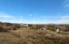 Teren – 10.200 mp teren cu 1.200 mp intravilan - Oradea, Str. Făgetului - 3