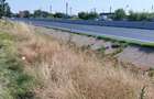 Teren  stradal DN5 Bucuresti -Giurgiu 34.800 mp - 3