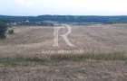 Teren extravilan | Betfia | 9664 Mp | Bihor