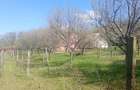 Pietrarie Vila P+1 s=164mp garaj beci teren 2000mp livada vie zona verde - 14