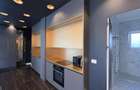 Inchiriere apartament 2 camere de LUX in Centru zona Casa de Cultura si UMF - 8