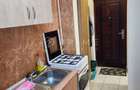Apartament 1 camera Tudor | str Prieteniei parter | - 4