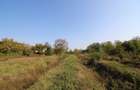 Teren 2041 mp deschidere lac Grivita 20 m - 7