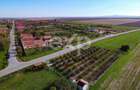 Teren cu livadă de vânzare – Sârbova, poziție excelentă! - 1