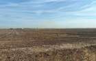Terenuri  40.000 mp - Popesti - Leordeni / Soseaua de Centura - 6