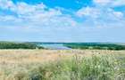 RASOVA Cochirleni Teren extravilan 38 Hectare comasat 100% - 2