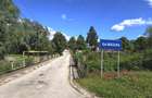 Teren pitoresc, linistit, in zona impadurita de deal - 7