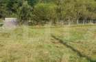 Teren intravilan, 1322 mp, zona Vatra Dornei - 4