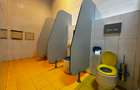 Spatiu comercial de inchiriat Pacurari